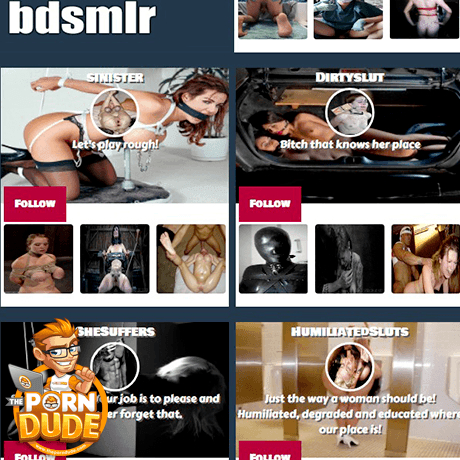 Bdsmlr